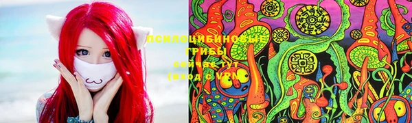 амфетамин Алексеевка