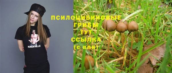 амфетамин Алексеевка