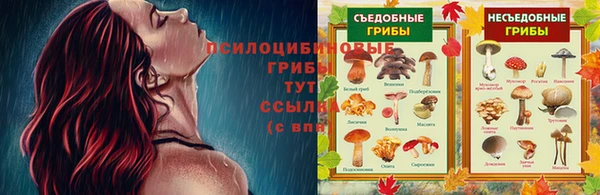 скорость Алексин