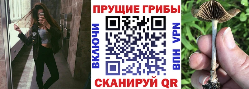 Псилоцибиновые грибы мухоморы  OMG зеркало  Кола  купить  