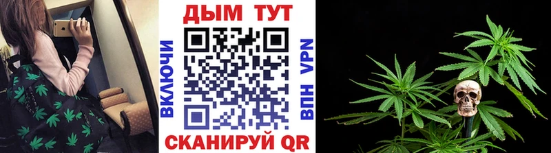 Каннабис ГИДРОПОН  где купить наркоту  Кола 